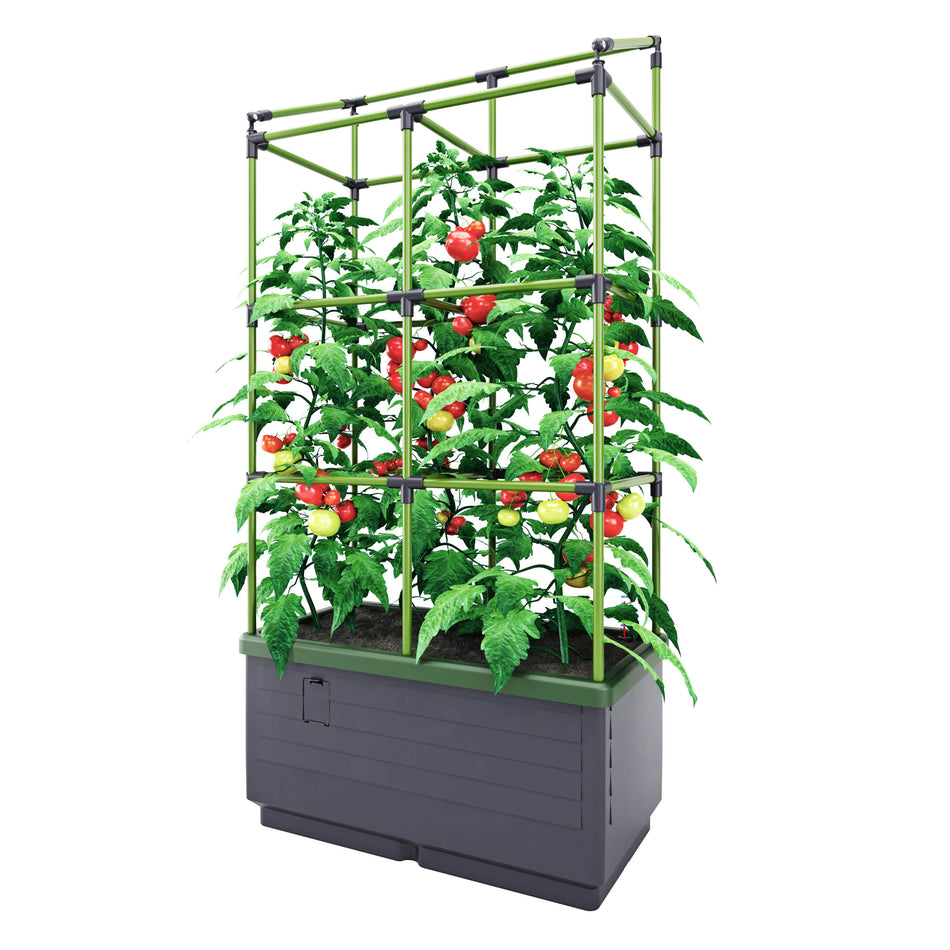 Raised Garden Bed CITY JUNGLE, Watering System, Trellis, Planter Box 62 x 33 x 128 cm