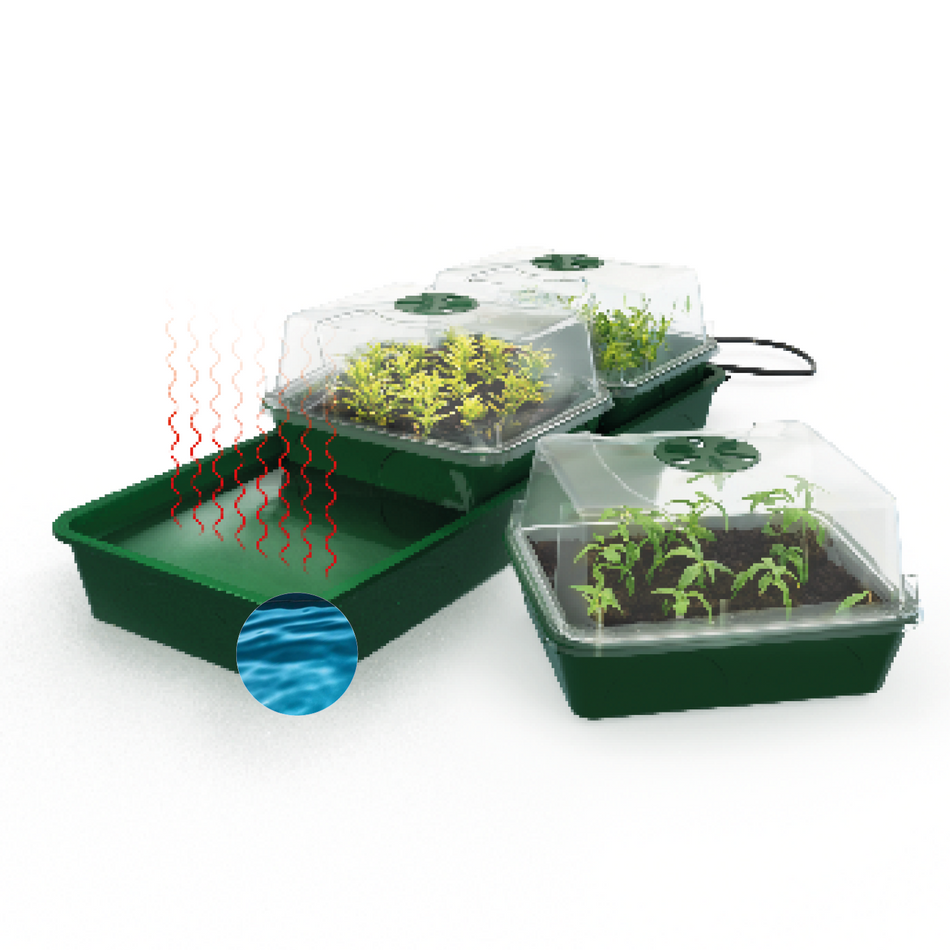 Heated Propagator with Watertank HOLLANDIA, for Cultivation of Cuttings, with 3 Pots