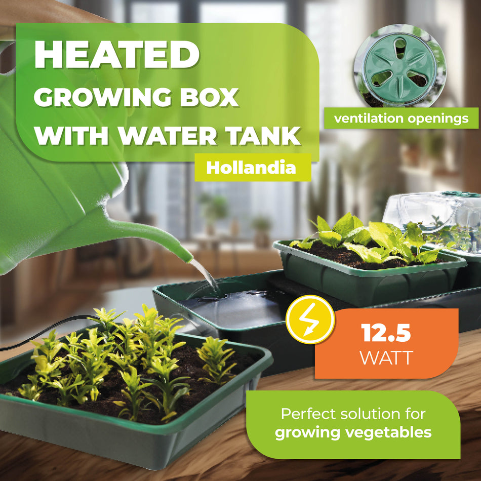 Heated Propagator with Watertank HOLLANDIA, for Cultivation of Cuttings, with 3 Pots