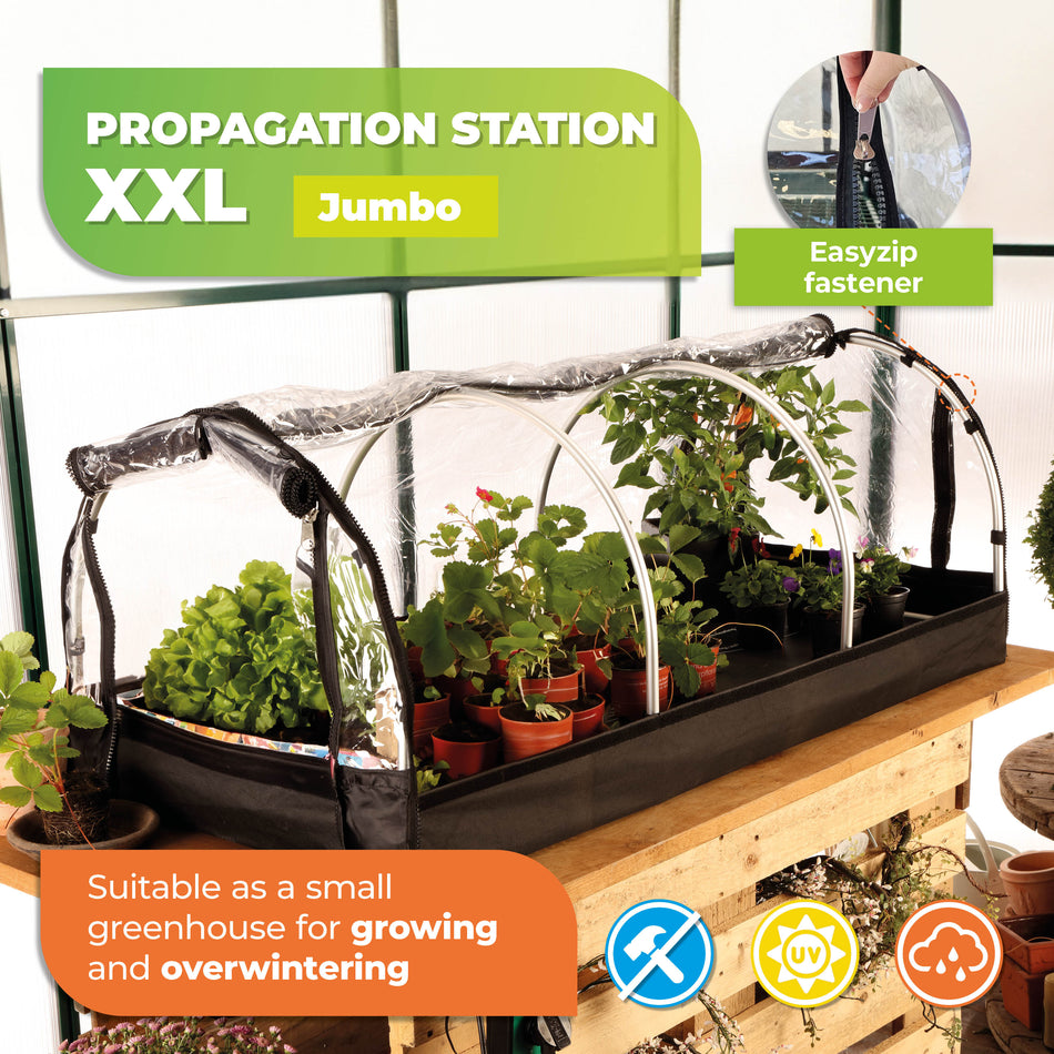 Propagation Station JUMBO with Heating Mat + Digital Greenhouse Thermostat THERMO 2