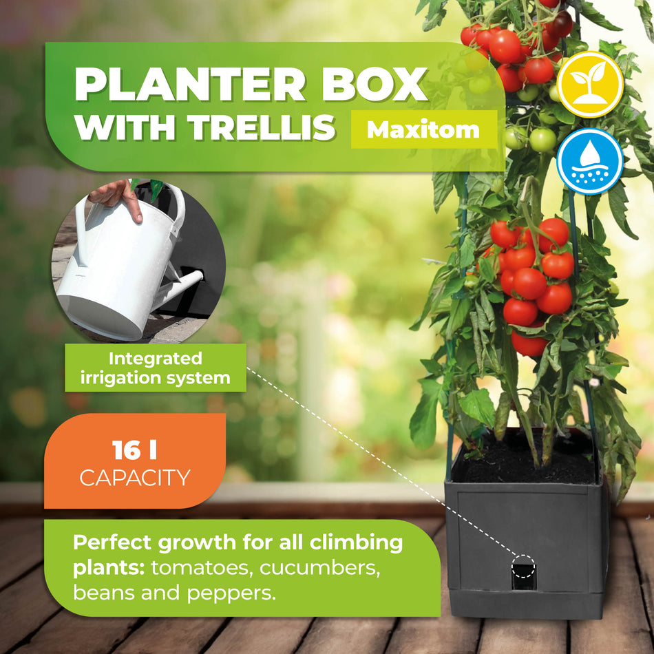 Plant Tower with Watering System MAXITOM - Grey, with Green Trellis